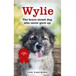 Wylie: The Brave Street Dog Who Never Gave Up