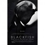 Blackfish