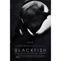 blackfish