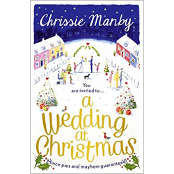 a wedding at christmas